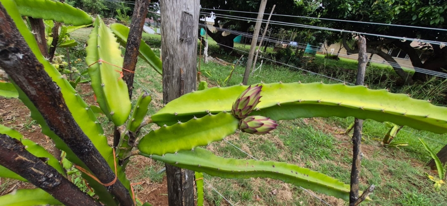 7 Bedroom Property for Sale in Modderfontein AH North West